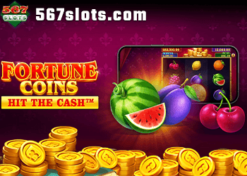FORUNE COINS